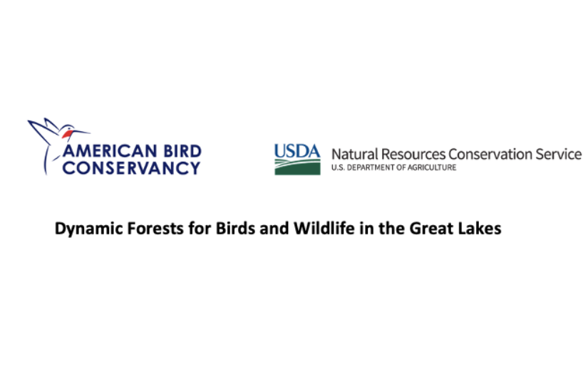 Upcoming American Bird Conservancy Webinars